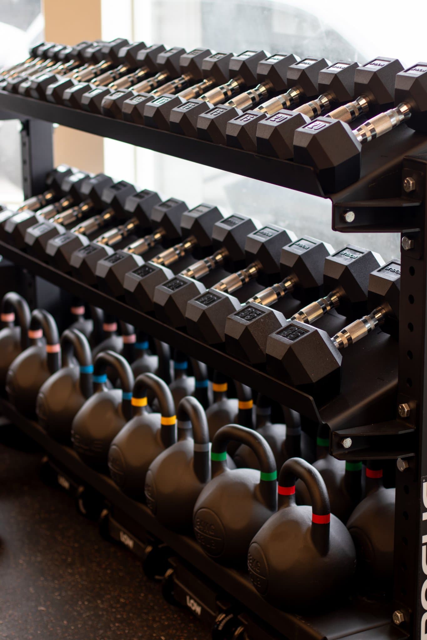 Motion Performance Studio training session